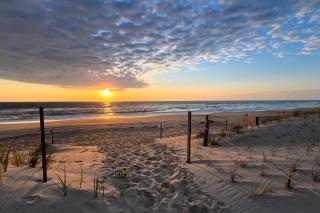 Waves for Days - Nags Head - 0