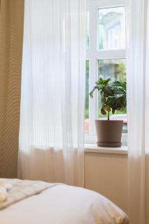 BNB Urban Oasis - Medic Garden - Bratislava - 9