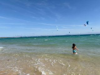 Kimba - Tarifa - 9