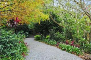 Maleny-Montville Cottages #1 - 2 bed ocean views - Balmoral Ridge - 9
