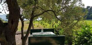 Holiday home in Sv. Filip i Jakov 53599 - Sveti Filip i Jakov - 6