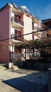 Studio in Sv. Filip i Jakov 53799 - Sveti Filip i Jakov - 1