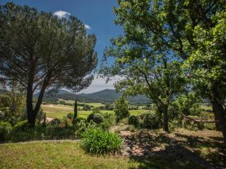 Entre les Vignes - Emponse - 1