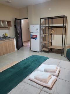 E&S apart Grand Bourg - Salta - 8