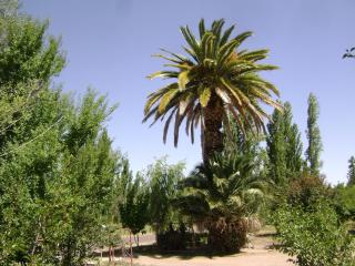 Cabañas La Palmera del Atuel - San Rafael - 6