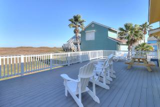 It Is Fine LCV26 Pet Friendly - Corpus Christi - 9