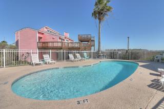 It Is Fine LCV26 Pet Friendly - 7