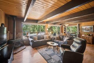 Lakefront Cozy Cabin on the Cove - 5