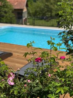 House of Joy Barajevo - 3