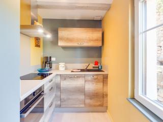 Apartment in Alsace near Haut-Koenigsbourg, cleaning included - Dambach-la-Ville - 6