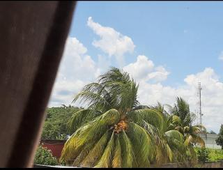 Elegante estudio - Maturín - 8