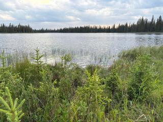 Taylor Lake Resort BC - Lone Butte - 0