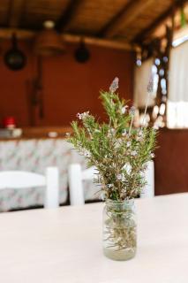 Glamping Traslasierra Carpa Sur - San Javier - 7
