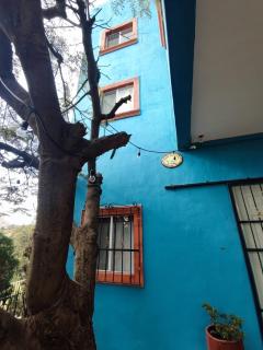 Hospedaje Noria Alta - Tu lugar de descanso - Guanajuato - 8