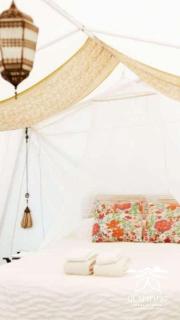 Glamping Traslasierra Carpa Norte - San Javier - 8