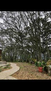 Casa del Bosque - Calpulalpan - 7