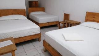 Hotel Cuetzalan - Cedro - 6