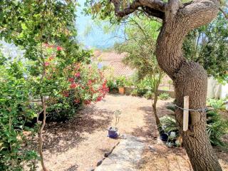 Banyuls-sur-Mer : T3 avec jardin, parking, proche plage et centre-ville - FR-1-309-35 - Banyuls-sur-Mer - 9