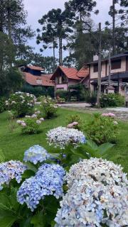 Casa Aldeota - Monte Verde - 1