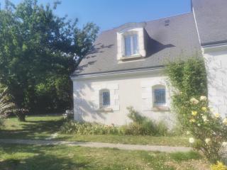 Gîte moderne à Amboise avec piscine, jardin et wifi - FR-1-381-626 - Amboise - 0