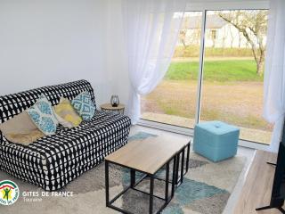 Gîte moderne à Amboise avec piscine, jardin et wifi - FR-1-381-626 - Amboise - 8