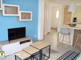 Gîte moderne à Amboise avec piscine, jardin et wifi - FR-1-381-626 - 6