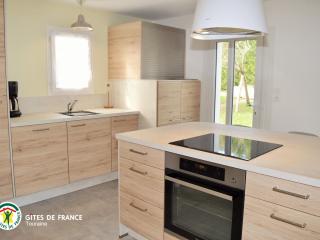 Gîte moderne à Amboise avec piscine, jardin et wifi - FR-1-381-626 - 4