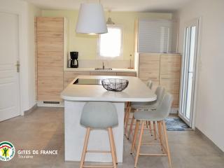 Gîte moderne à Amboise avec piscine, jardin et wifi - FR-1-381-626 - 3