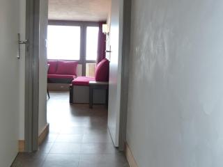 Studio rénové, accès pistes, animaux ok, 3-4 pers - FR-1-181-2854 - Aime La Plagne - 4