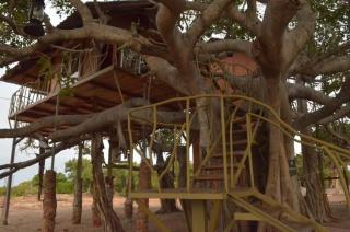 Bird Sanctuary Nature Park Army Welfare Resort and Tree House - - 9