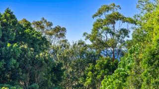 Surfers Rest - Stunning home 3 mins to beach - 4