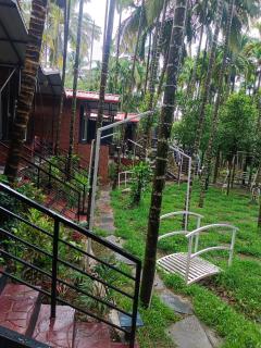 Dandeli palm tree cottages - - 9