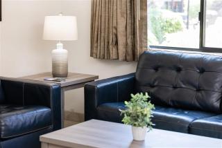 145 Fully Furnished 1BR Suite-Pet Friendly - Scottsdale - 2