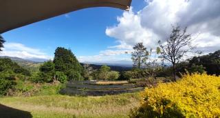 Skyline Great View - Naranjo - 6