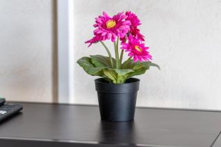 Appartement avec vue sur la Tour Eiffel entre Paris et Disneyland - Noisy-le-Grand - 3