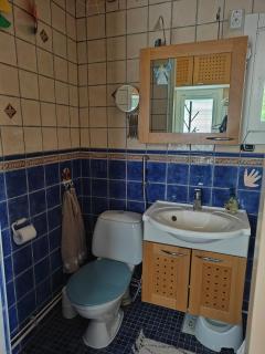Detached house with yard sauna - 5
