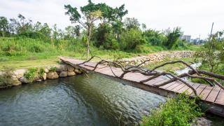 王老爺花園民宿 - Jinhu - 6