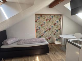 Work & View - Dachapartment am Bodensee - Radolfzell am Bodensee - 7