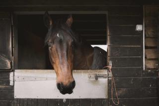 The Field View by Tiny Away - Egerton - 1