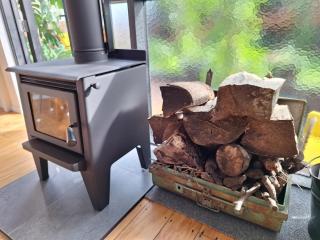 Stay in an award winning glasshouse - Dunedin - 3