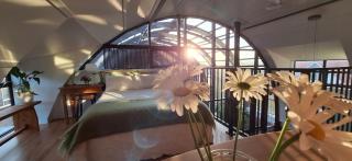 Stay in an award winning glasshouse - Dunedin - 1