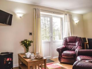 Kite Cottage - Llandeilo - 0