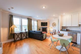 New Construction, Near Neubmc, Elevator, 2b, 2ba - Boston - 9
