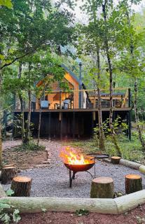Ty Nant Treehouse with covered hot tub - Raglan - 3