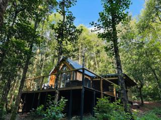 Ty Nant Treehouse with covered hot tub - Raglan - 2