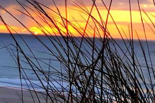 Gemütliche Wohnung Reet-Pool-Sauna - 7