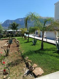 Inkantu B&B - Terrasini - 8