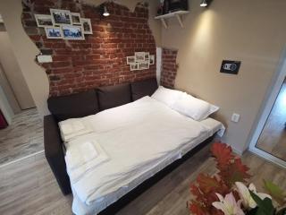 D1 LOFT-Top center with free parking - Sofia - 6