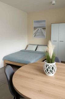 Apartament Prosta 11 Your Holiday Apartment on Wolin Island KLIMATYZACJA TV WIFI - Wolin - 0