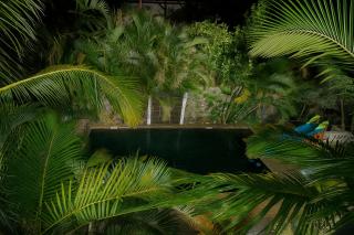 Oasis Tropicale - 5
